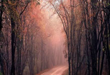 PG电子官网-延边战旗折戟夜！核心伤退阴影笼罩，生死战陷至暗时刻