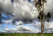 PG电子线上登入-塔斯马尼亚联队长激励全队，挑战强敌士气高昂