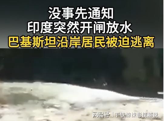 PG中国官网-一战成名！选手实力碾压全场