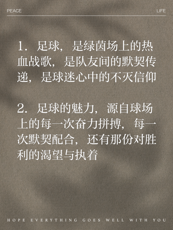 球场上的对决如烈火般激烈，唤起了球迷的热血