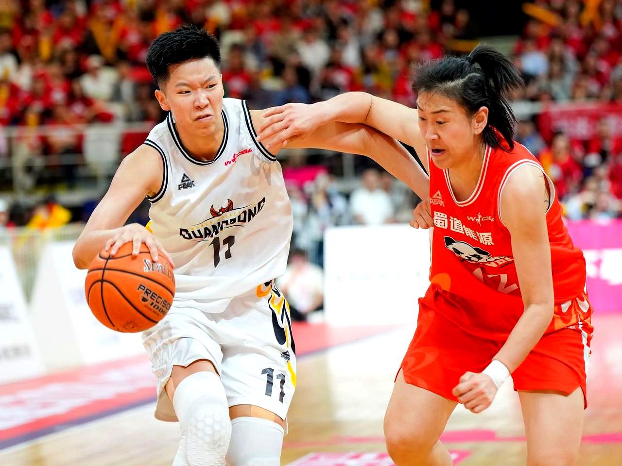 PG电子官方-四川女篮惊险告解，败退对手