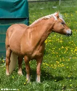 PG电子游戏-关于马拉加新赛季报捷，全队齐心协力取得胜利的信息