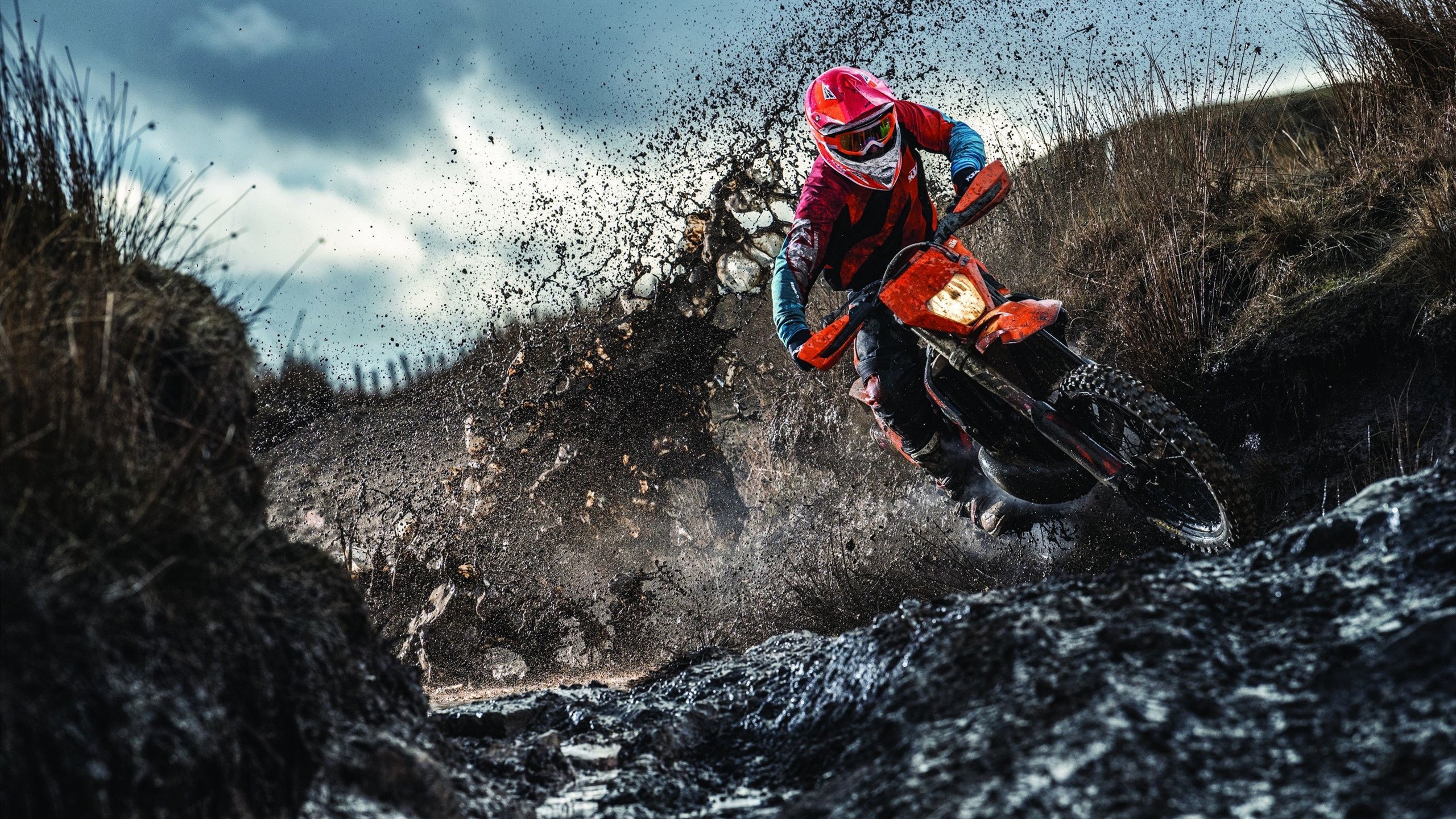 PG电子官网-红牛最后一弯绝杀雷诺！拉塞尔化身雨战神勇夺季军